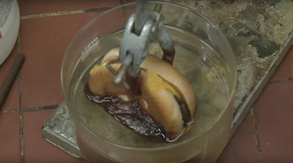 McDonalds Cheeseburger Meets Stomach Acid